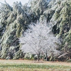 Meet your Posher, Marci